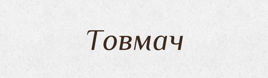 Товмач — Словник чужомовних слів і термінів