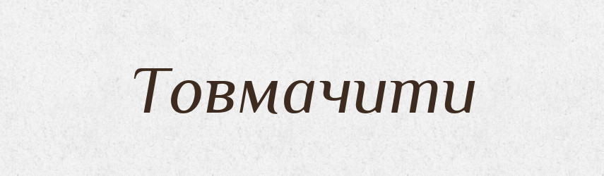 Товмачити — Словник чужомовних слів і термінів