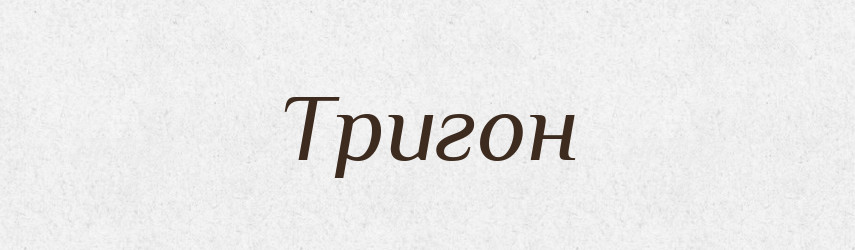 Тригон — Словник чужомовних слів і термінів