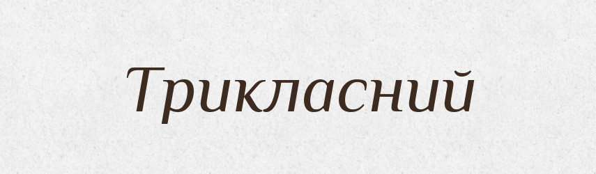 Трикласний — Словник чужомовних слів і термінів