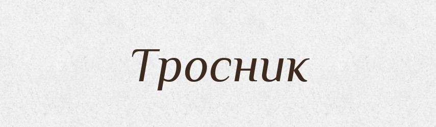 Тросник — Словник чужомовних слів і термінів