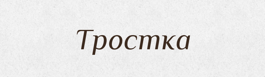 Тростка — Словник чужомовних слів і термінів