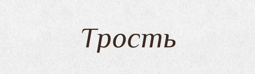 Трость — Словник чужомовних слів і термінів