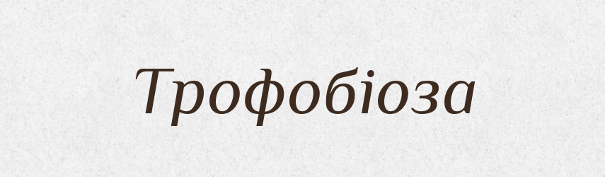 Трофобіоза — Словник чужомовних слів і термінів
