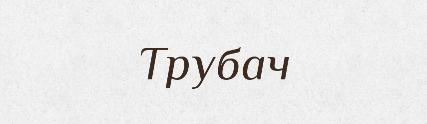 Трубач — Словник чужомовних слів і термінів