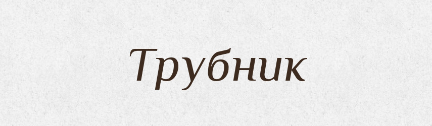 Трубник — Словник чужомовних слів і термінів