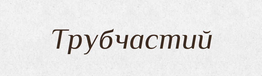 Трубчастий — Словник чужомовних слів і термінів