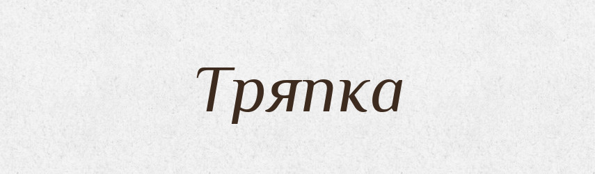 Тряпка — Словник чужомовних слів і термінів