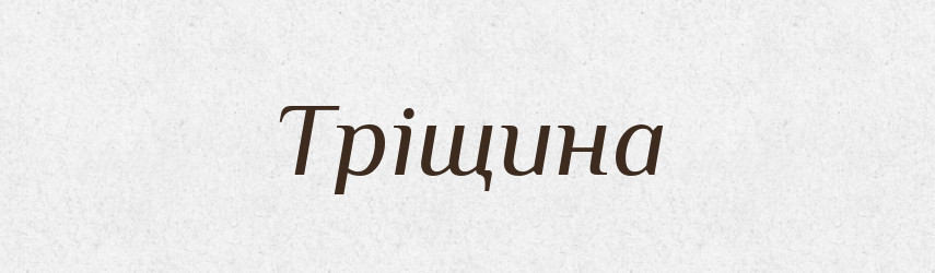 Тріщина — Словник чужомовних слів і термінів