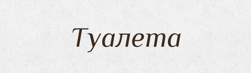 Туалета — Словник чужомовних слів і термінів