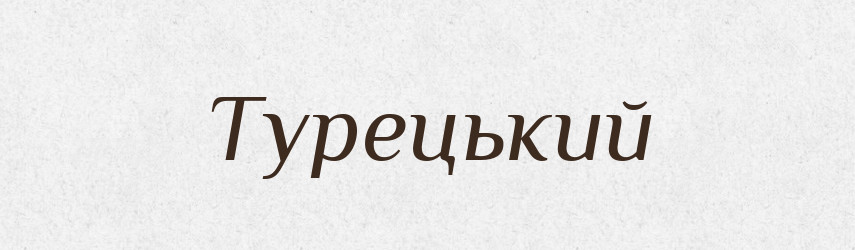 Турецький — Словник чужомовних слів і термінів