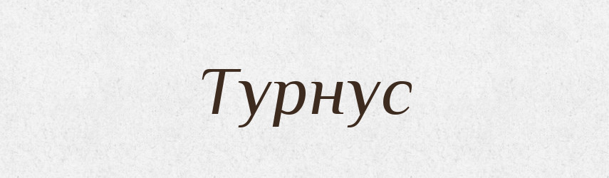 Турнус — Словник чужомовних слів і термінів