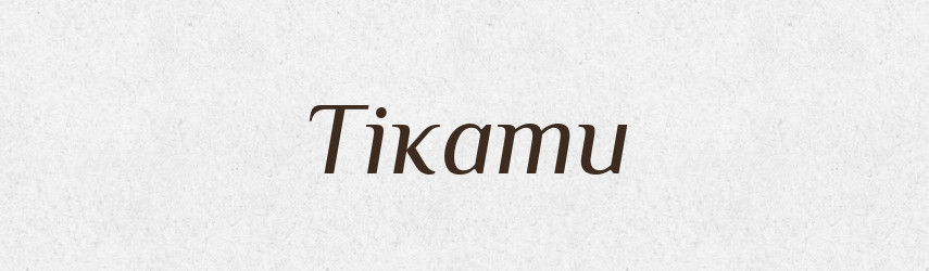 Тікати — Словник чужомовних слів і термінів
