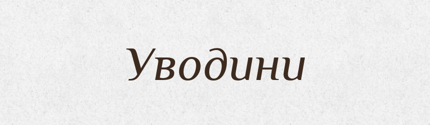 Уводини — Словник чужомовних слів і термінів