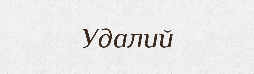 Удалий — Словник чужомовних слів і термінів