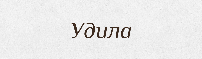 Удила — Словник чужомовних слів і термінів