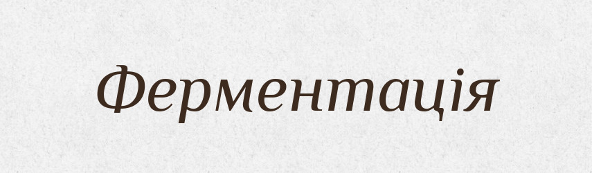 Ферментація — Словник чужомовних слів і термінів