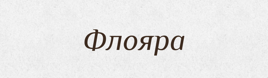 Флояра — Словник чужомовних слів і термінів
