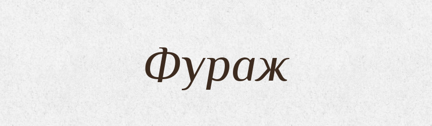 Фураж — Словник чужомовних слів і термінів