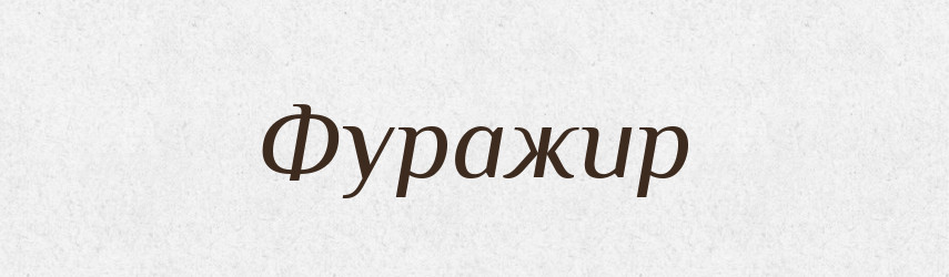 Фуражир — Словник чужомовних слів і термінів