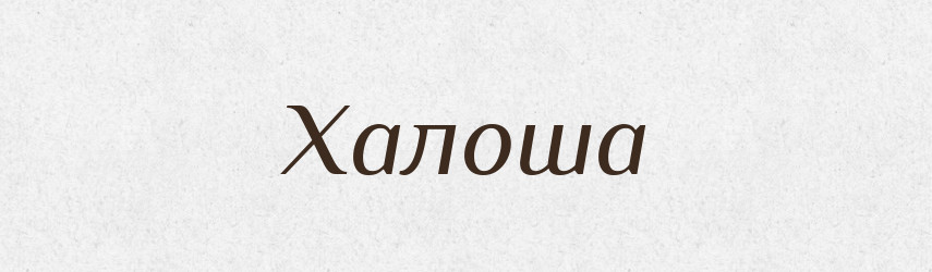 Халоша — Словник чужомовних слів і термінів