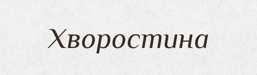 Хворостина — Словник чужомовних слів і термінів