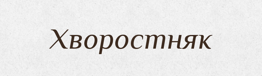 Хворостняк — Словник чужомовних слів і термінів