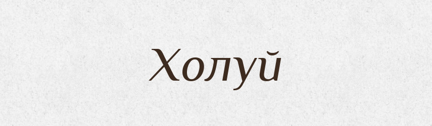 Холуй — Словник чужомовних слів і термінів
