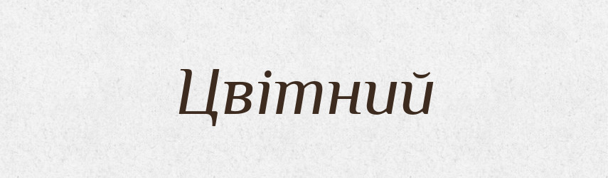 Цвітний — Словник чужомовних слів і термінів
