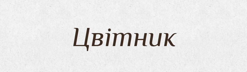 Цвітник — Словник чужомовних слів і термінів