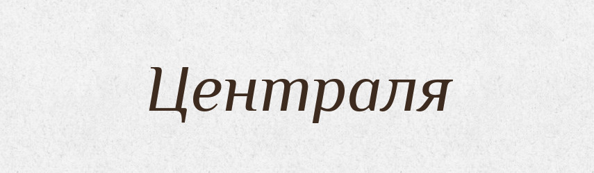 Централя — Словник чужомовних слів і термінів