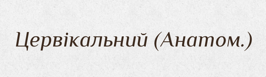 Цервікальний (Анатом.) — Словник чужомовних слів і термінів