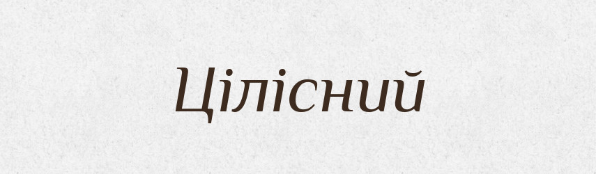 Цілісний — Словник чужомовних слів і термінів