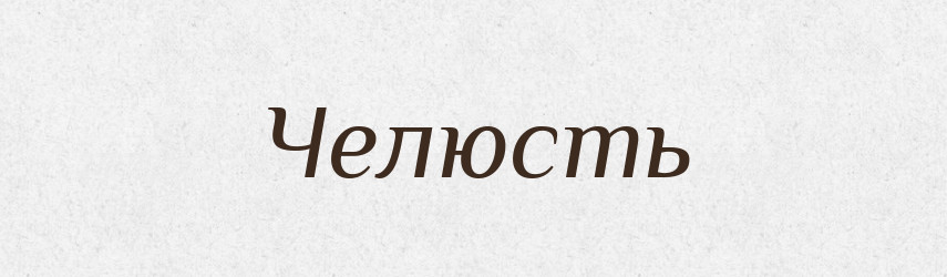 Челюсть — Словник чужомовних слів і термінів