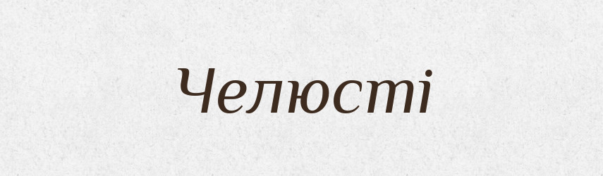 Челюсті — Словник чужомовних слів і термінів