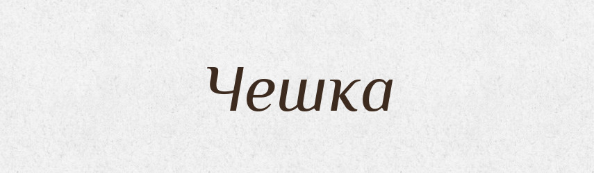 Чешка — Словник чужомовних слів і термінів