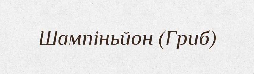 Шампіньйон (Гриб) — Словник чужомовних слів і термінів