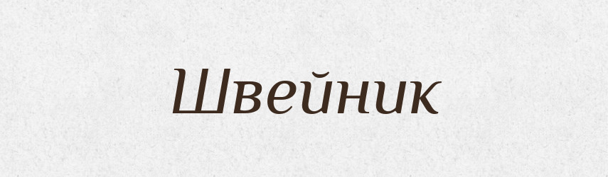 Швейник — Словник чужомовних слів і термінів