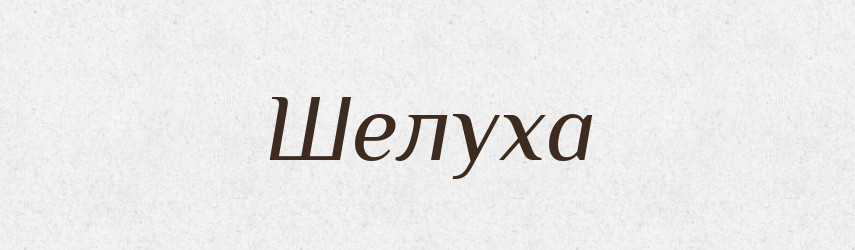 Шелуха — Словник чужомовних слів і термінів