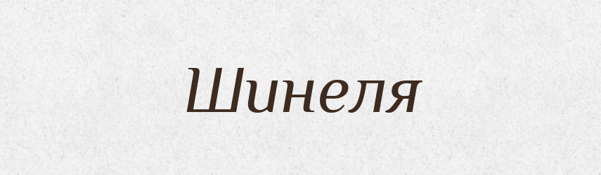 Шинеля — Словник чужомовних слів і термінів