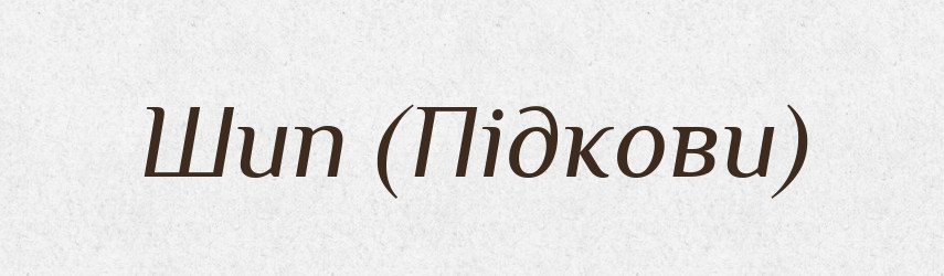 Шип (Підкови) — Словник чужомовних слів і термінів