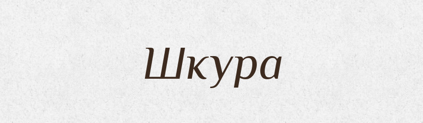Шкура — Словник чужомовних слів і термінів