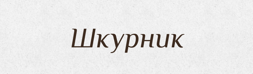 Шкурник — Словник чужомовних слів і термінів
