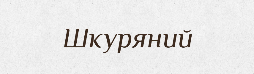 Шкуряний — Словник чужомовних слів і термінів