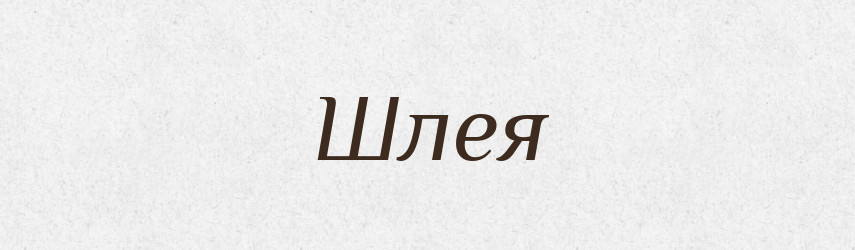 Шлея — Словник чужомовних слів і термінів