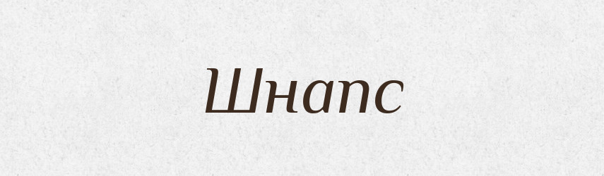 Шнапс — Словник чужомовних слів і термінів