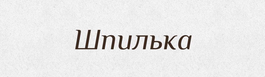 Шпилька — Словник чужомовних слів і термінів