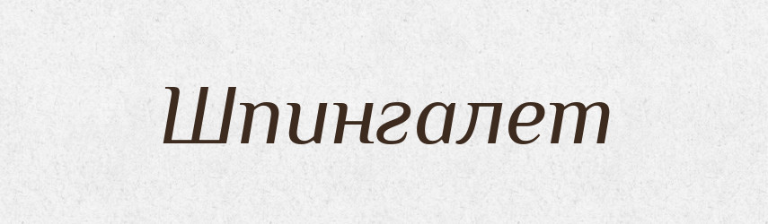 Шпингалет — Словник чужомовних слів і термінів
