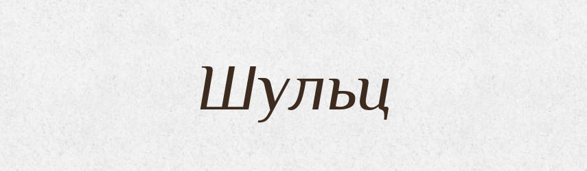 Шульц — Словник чужомовних слів і термінів