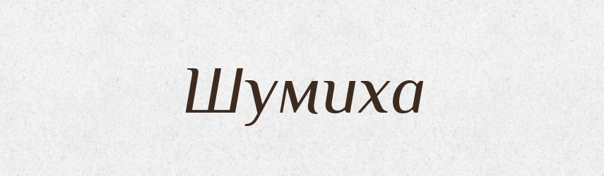 Шумиха — Словник чужомовних слів і термінів